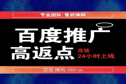 如何在sem竞价托管中取得卓越效果——案例解读